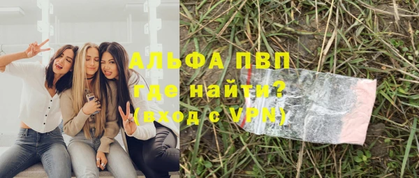 прущие грибы Вязники