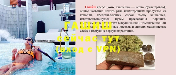 хмурый Инта